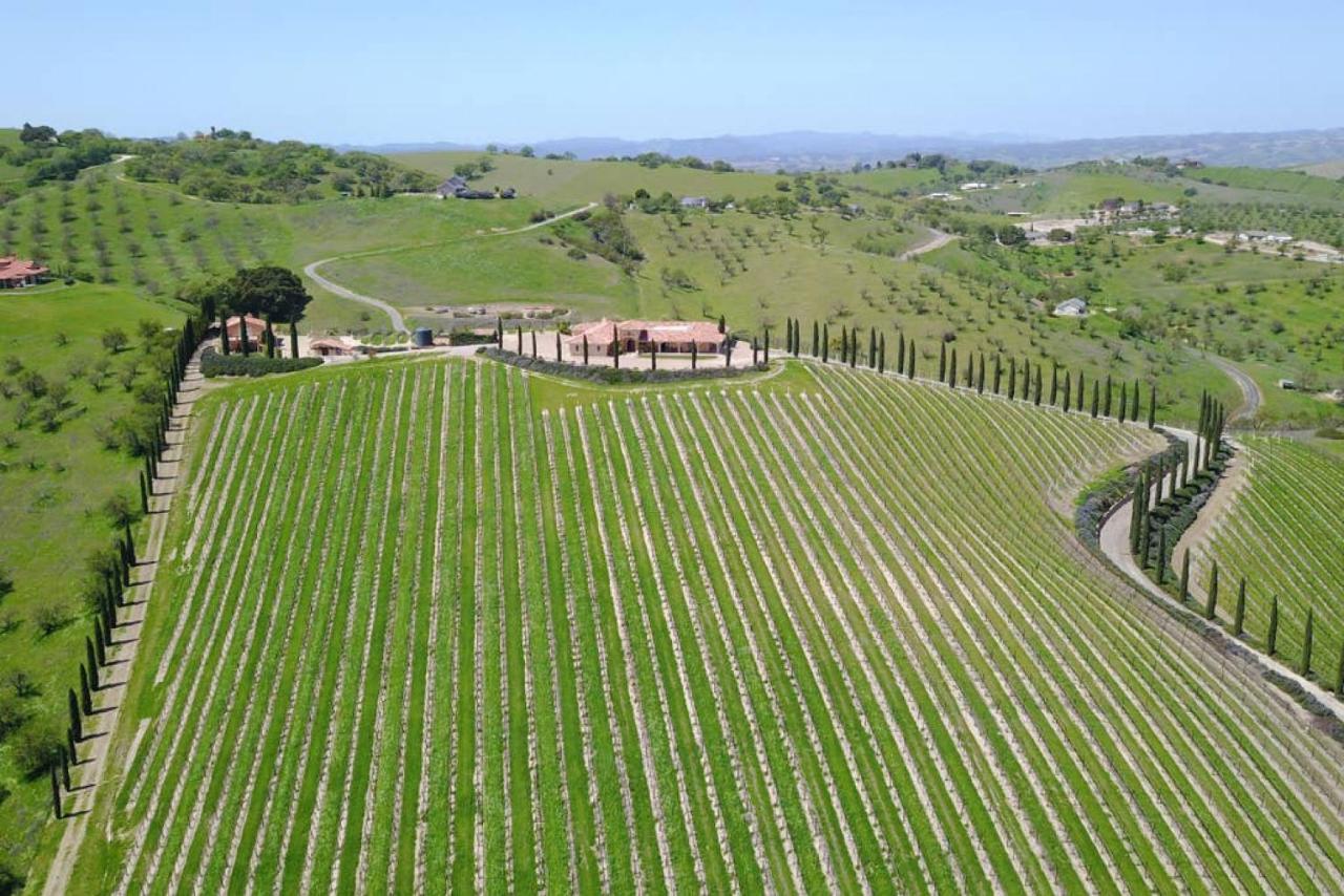 | Aterno Vineyard, Guest House