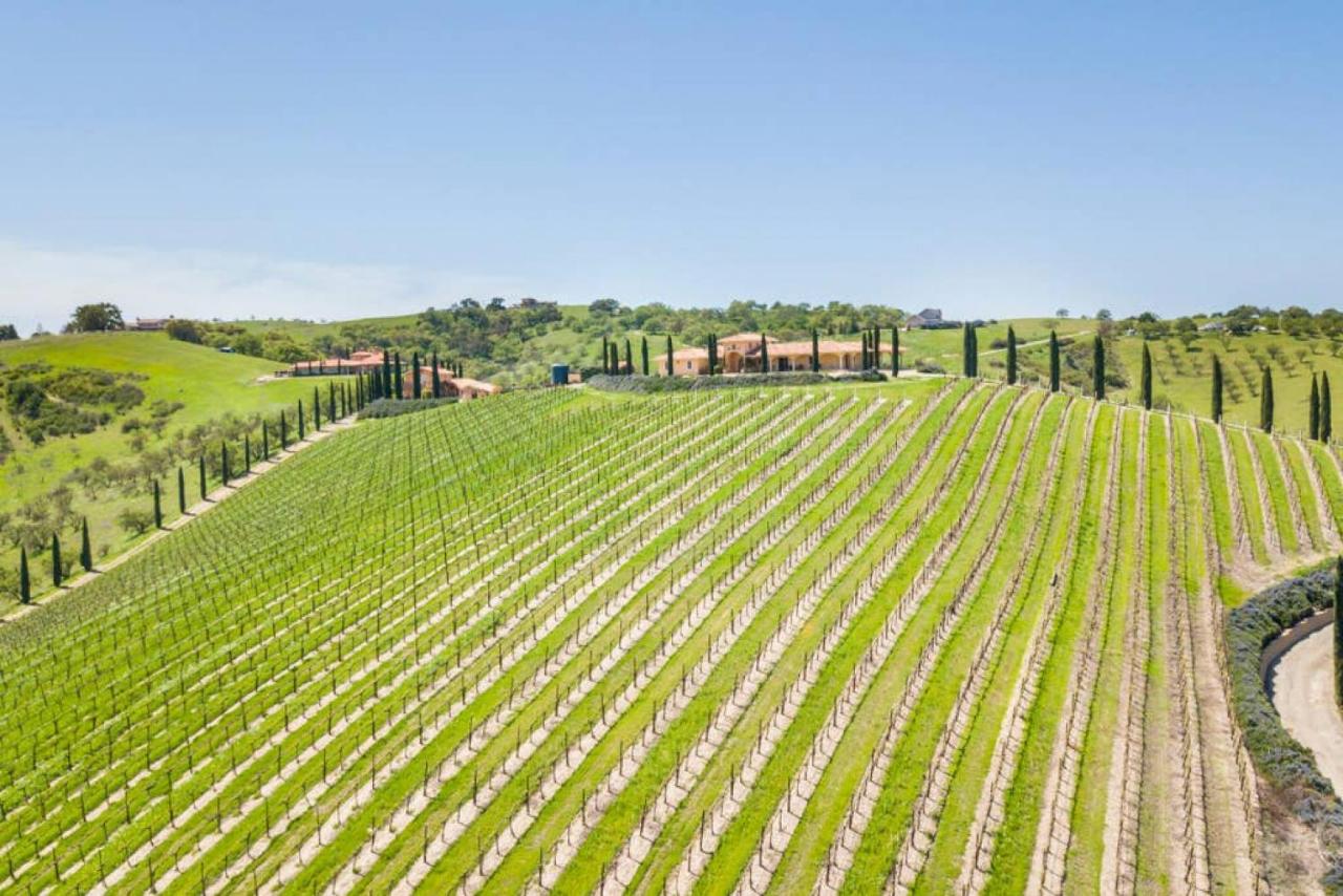 | Aterno Vineyard, Guest House