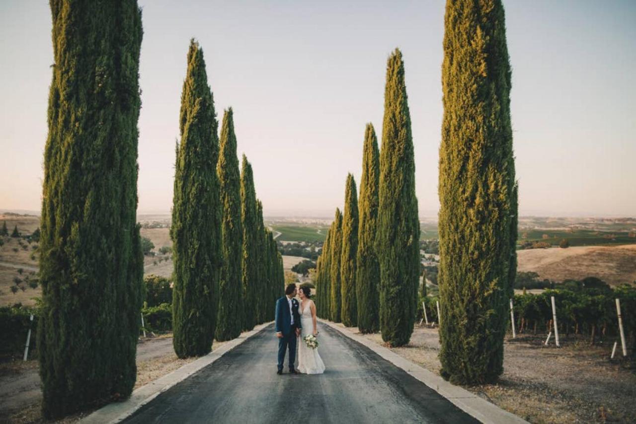 | Aterno Vineyard, Guest House