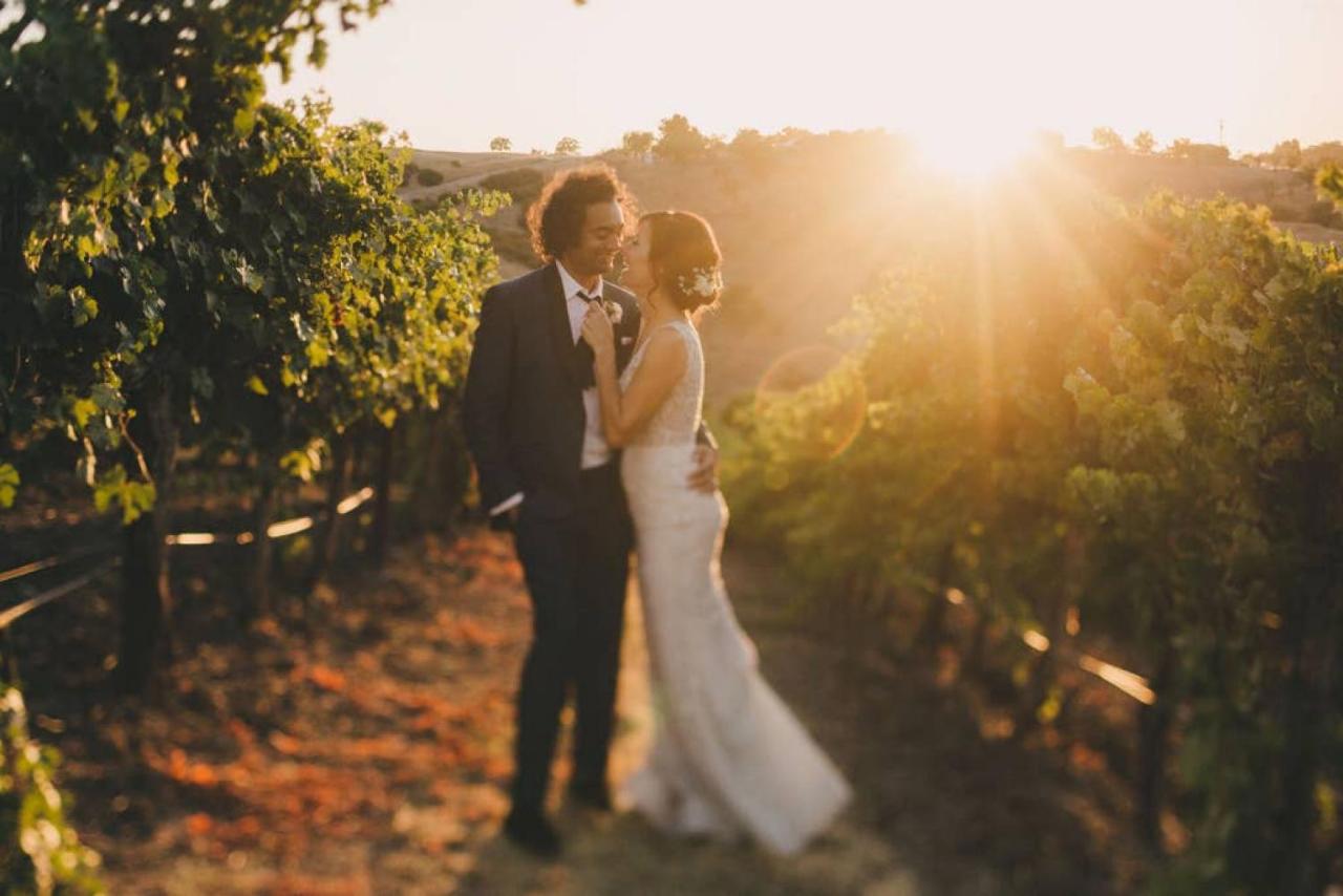 | Aterno Vineyard, Guest House