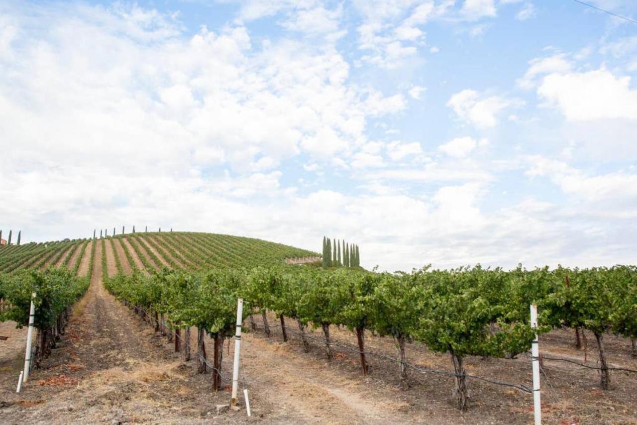 | Aterno Vineyard, Guest House