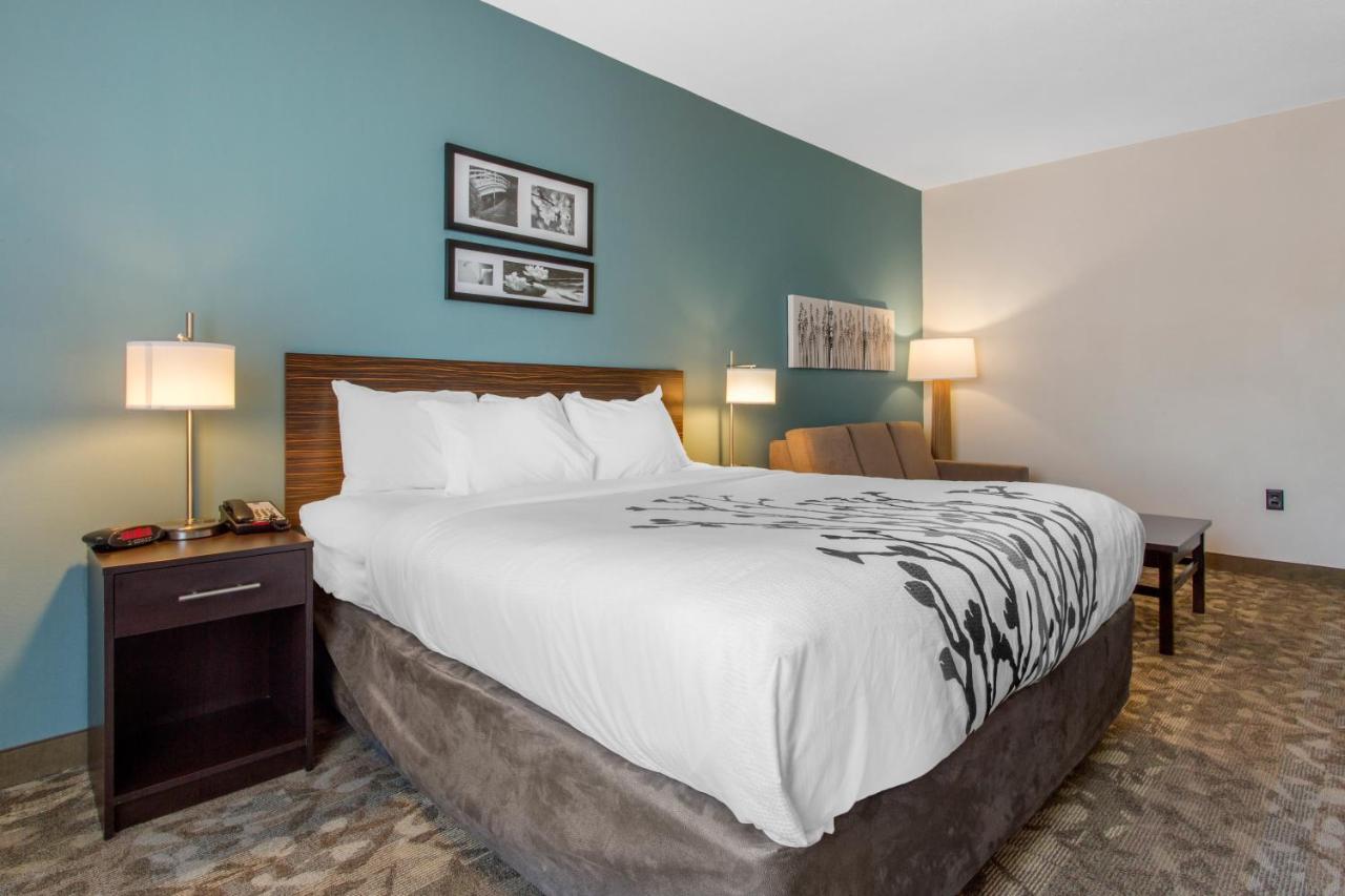 King Suite - Non-Smoking at Sleep Inn & Suites Middletown - Goshen
