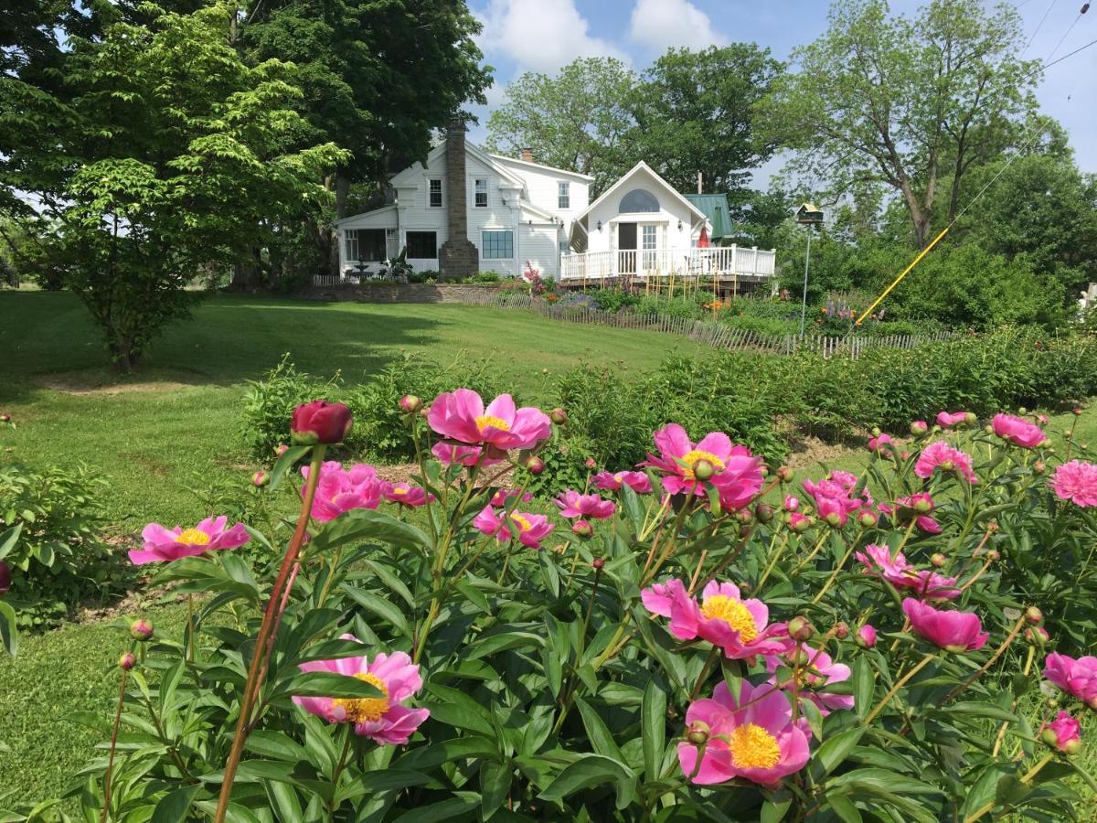 | Enfield Manor Bed&Breakfast and Vacation Rental