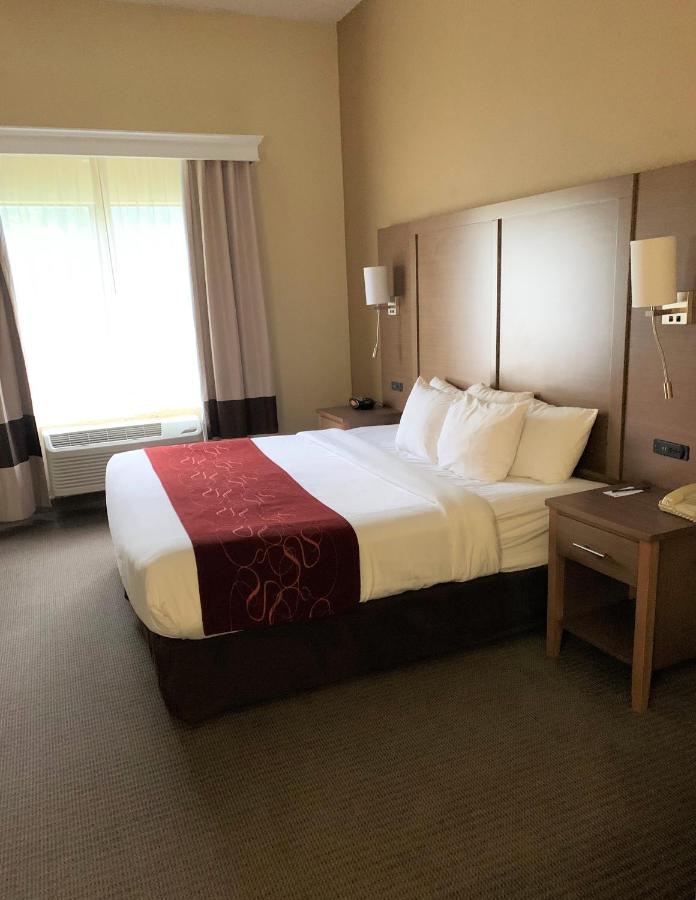 King Suite at Comfort Suites Bush Intercontinental Airport