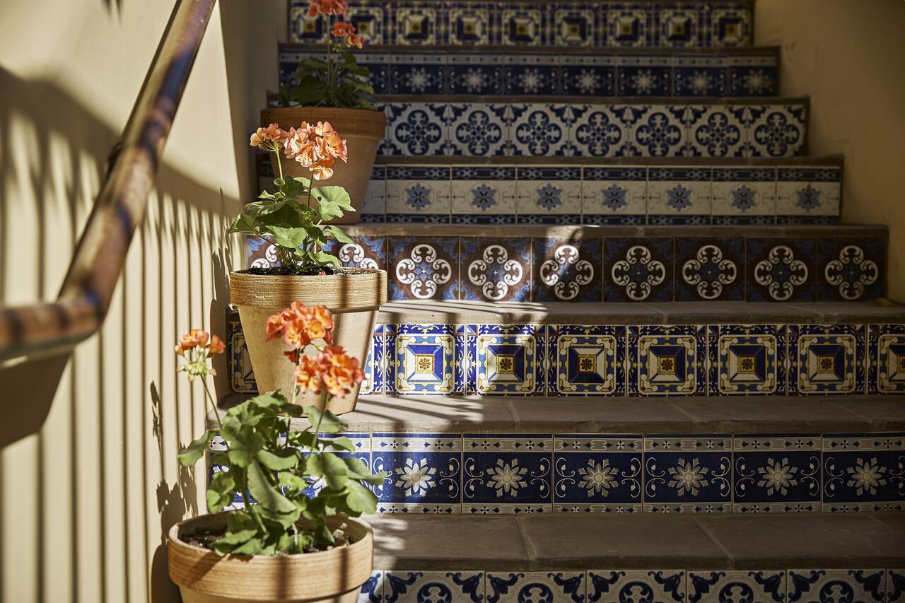  | Bespoke Inn Scottsdale