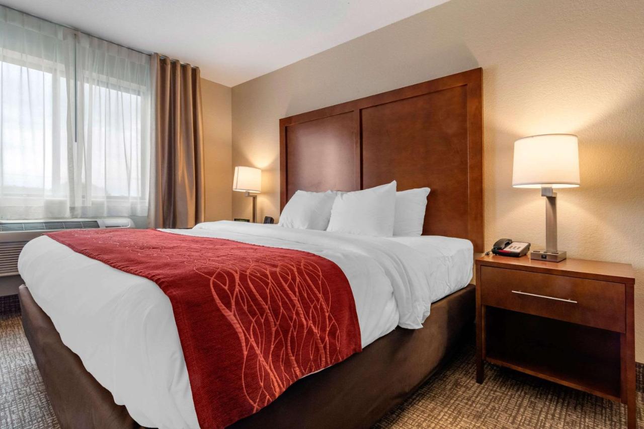 King Room - Non-Smoking at Comfort Inn & Suites South Hill I-85