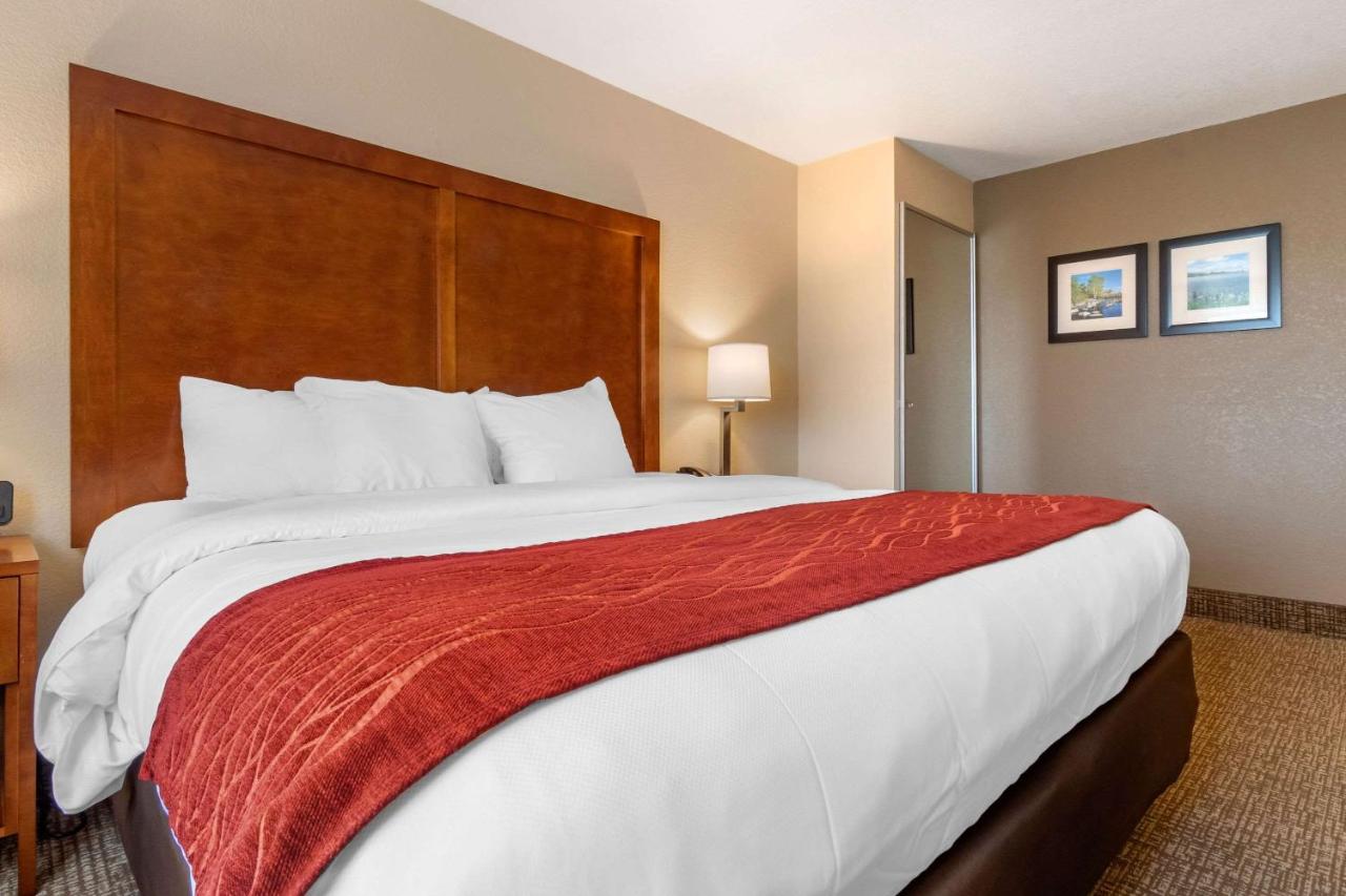 King Room - Non-Smoking at Comfort Inn & Suites South Hill I-85
