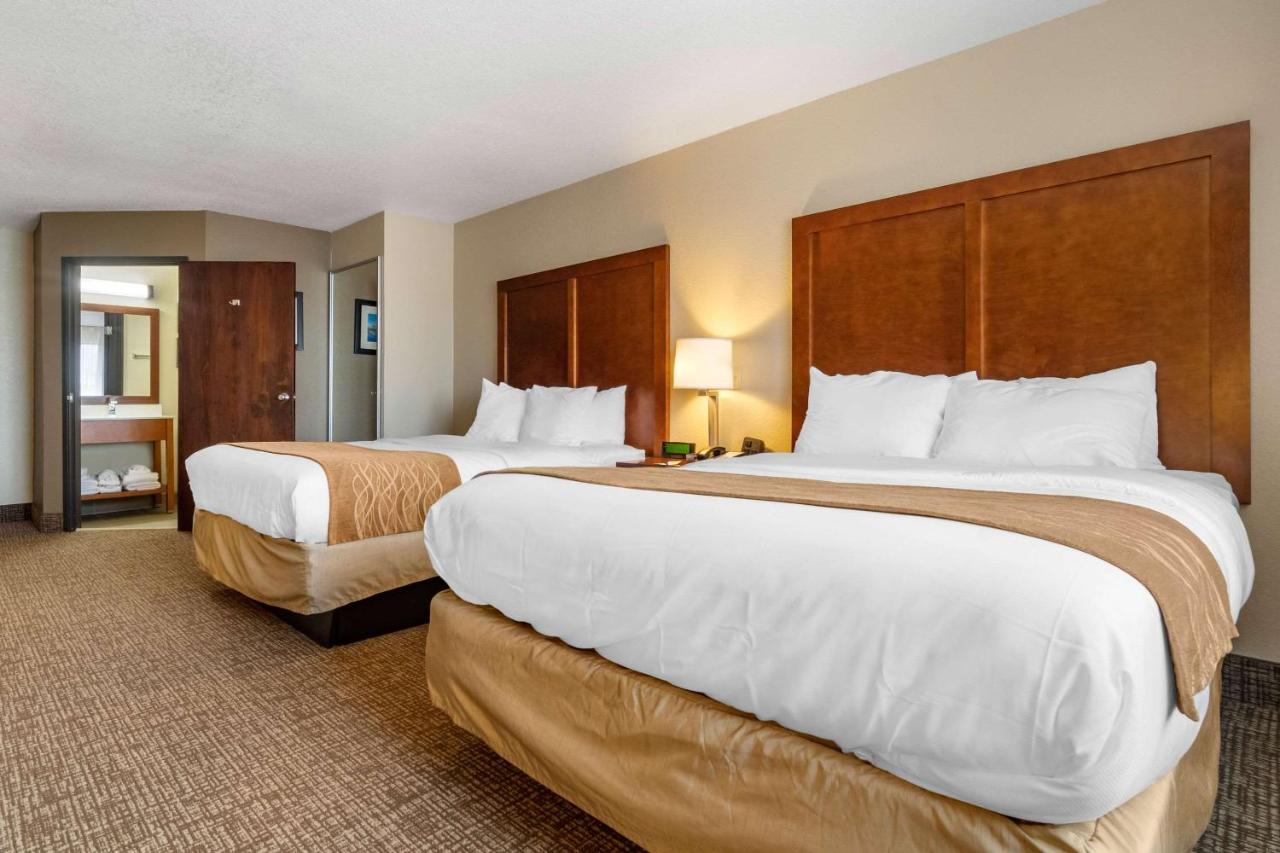 Queen Room with Two Queen Beds - Non-Smoking at Comfort Inn & Suites South Hill I-85