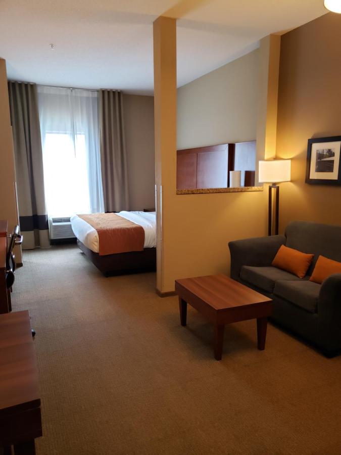 Efficiency King Suite - Non-Smoking at Comfort Inn & Suites Sayre