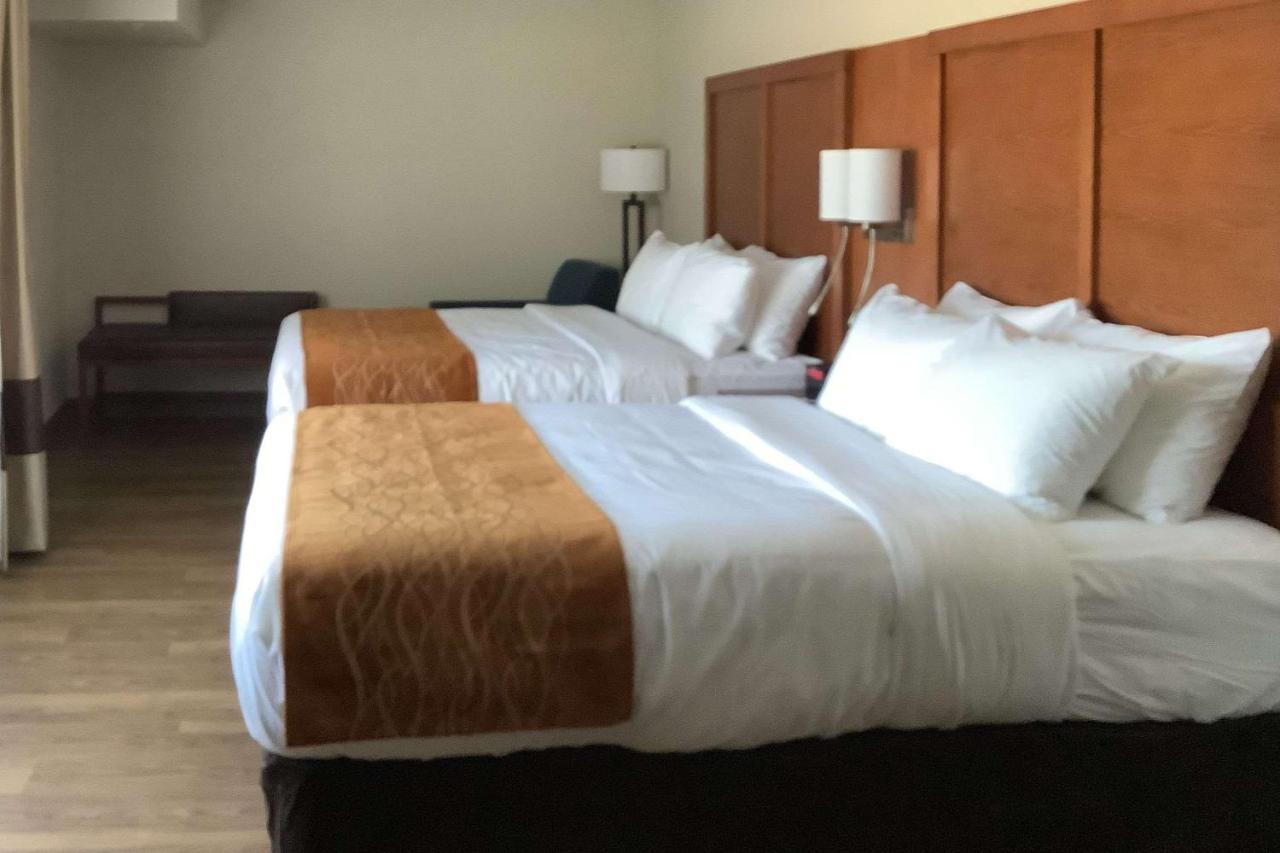Queen Suite with Two Queen Beds - Non-Smoking at Comfort Inn & Suites