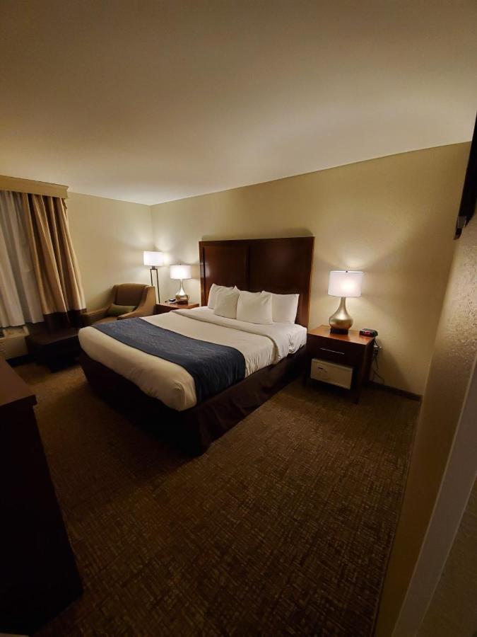 King Room with Roll-In Shower - Accessible/Non-Smoking at Comfort Inn Oxon Hill - National Harbor