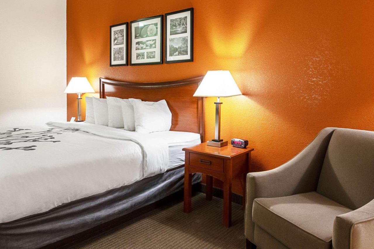King Room - Non-Smoking at Sleep Inn & Suites Hobbs