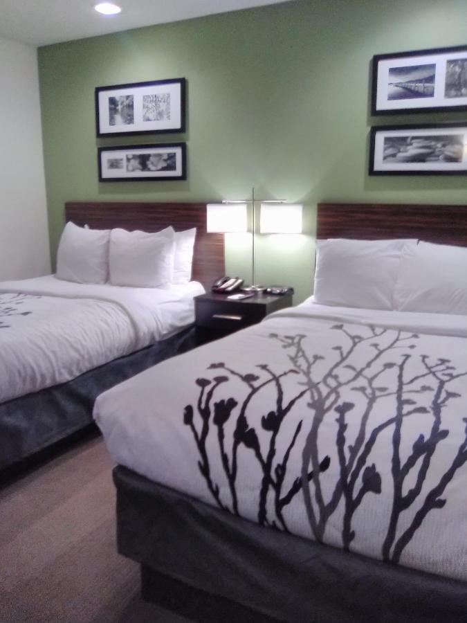 Double Room with Two Double Beds at Sleep Inn Summersville