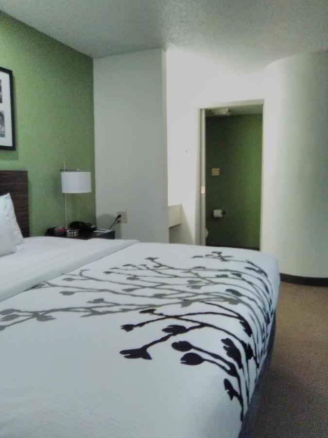 Standard One Queen Room at Sleep Inn Summersville