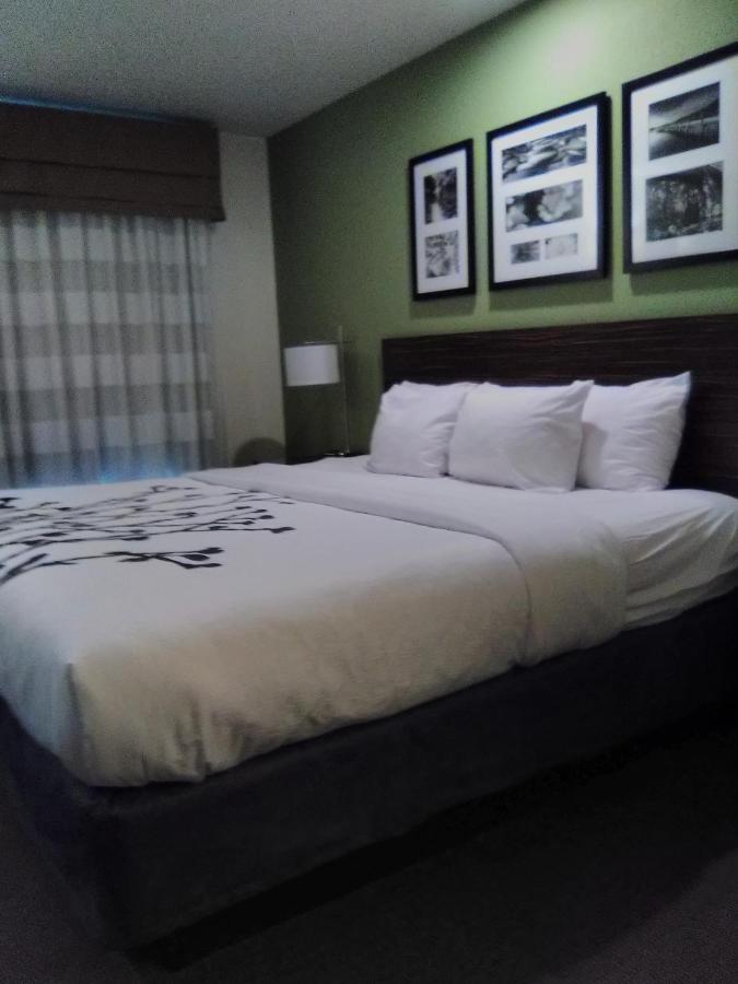 Standard One Queen Room at Sleep Inn Summersville