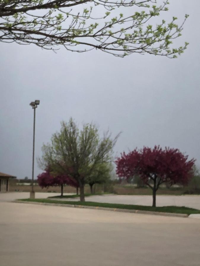 | Americas Best Value Inn Onawa