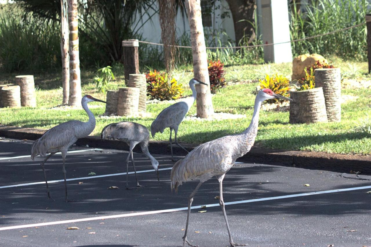 | At Home Inn - Fort Pierce