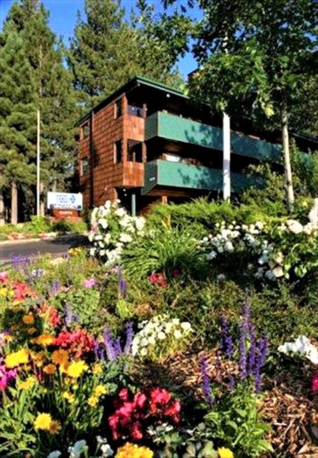 Suite (4 Adults) at Getaways at Snow Lake Lodge