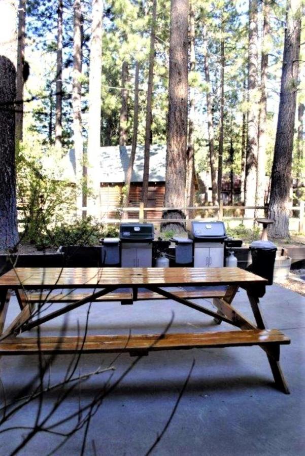Suite (4 Adults) at Getaways at Snow Lake Lodge