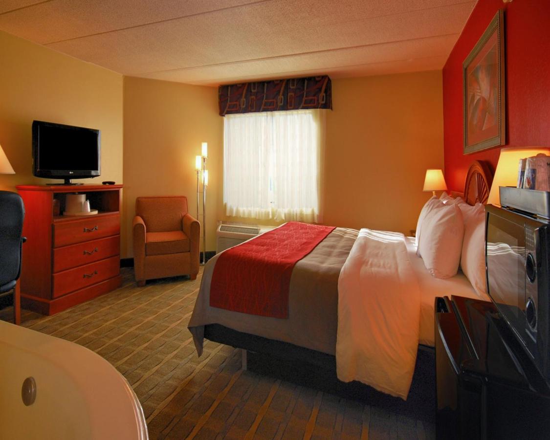 King Suite with Whirlpool - Non-Smoking at Comfort Inn University Center