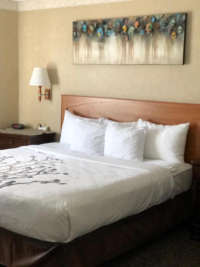 King Suite with Spa Bath and Fireplace - Non-Smoking at Sleep Inn & Suites Conference Center and Water Park