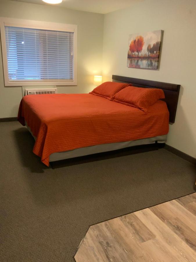 King Studio with Sofa Bed at Rockerville Lodge & Cabins