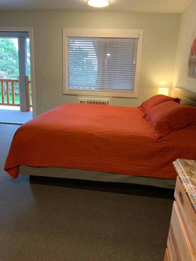 King Studio with Sofa Bed at Rockerville Lodge & Cabins