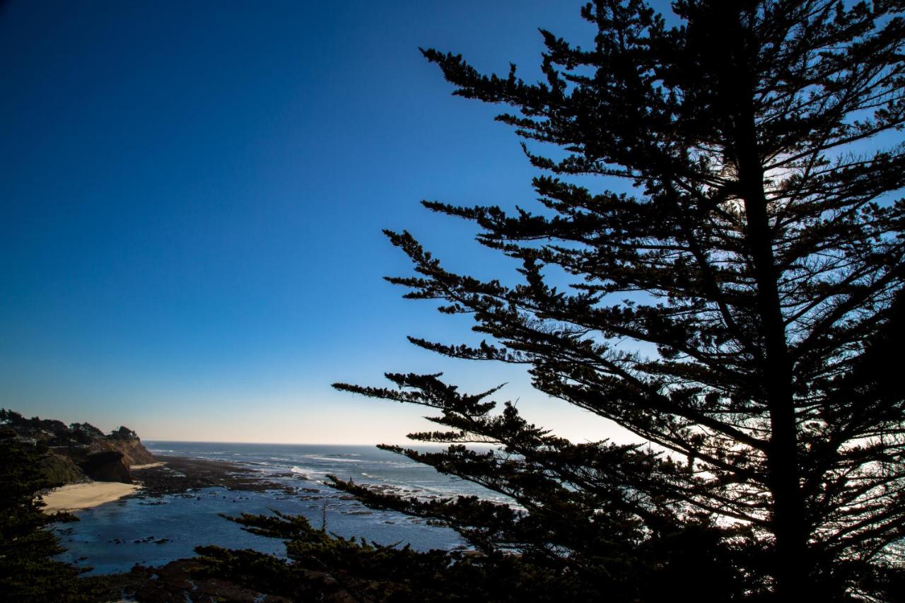 | Seal Cove Inn