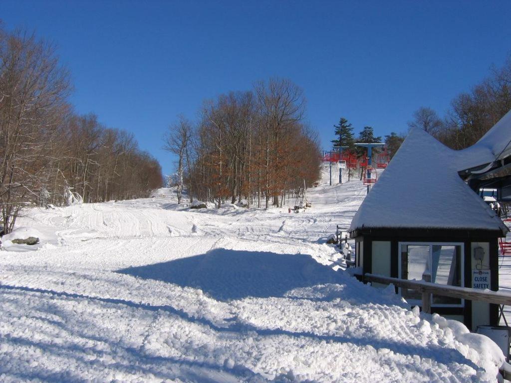 | Saw Creek Cabin - Regent Hilltop
