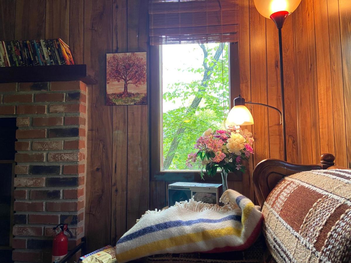 | Saw Creek Cabin - Regent Hilltop