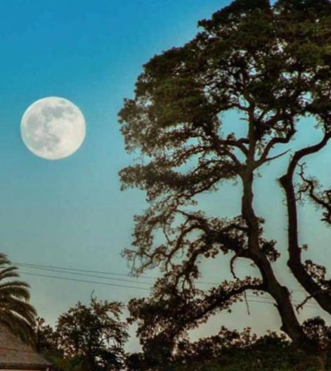 | Glen Ellen Inn Secret Cottages
