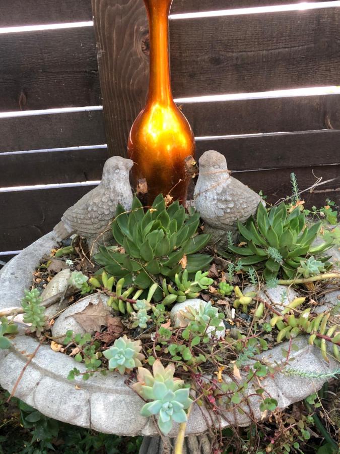 | Glen Ellen Inn Secret Cottages
