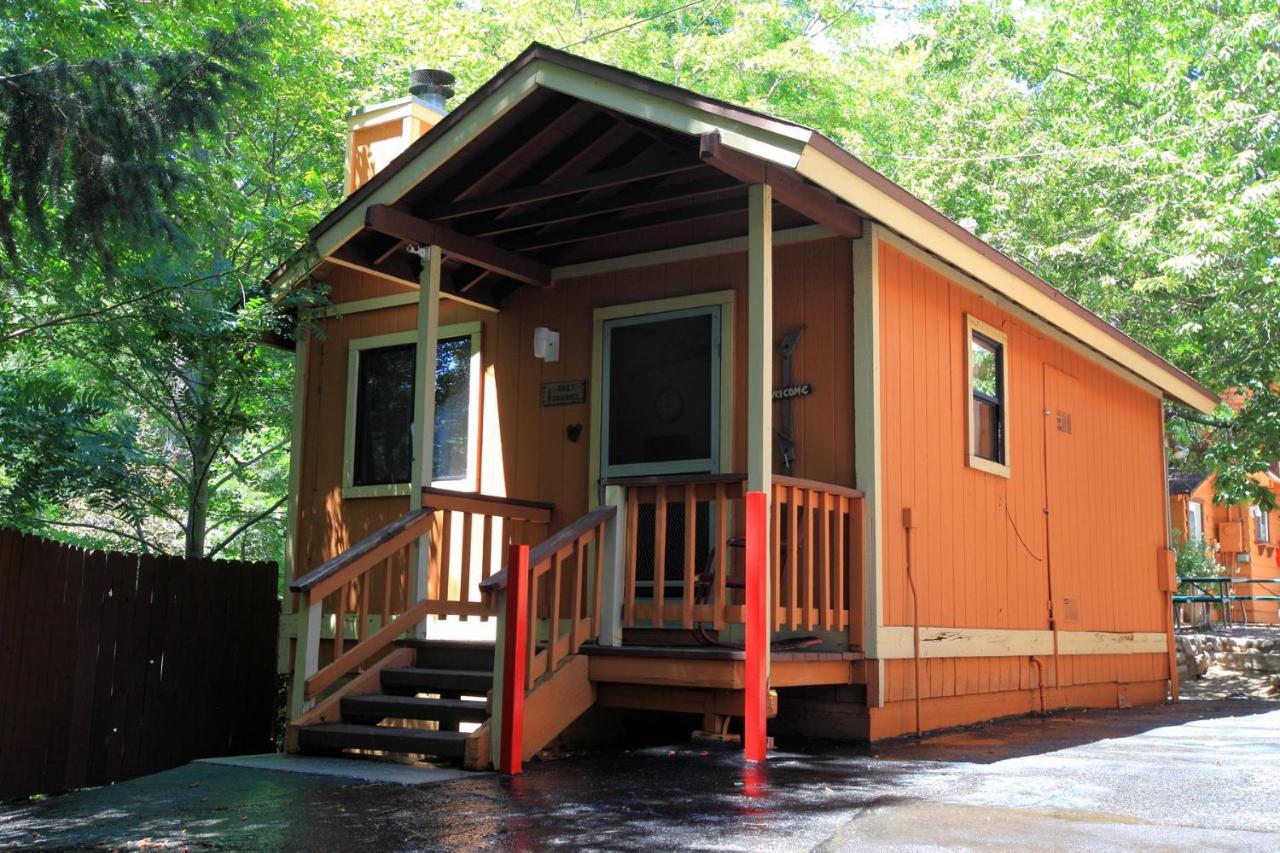 Gray Squirrel Cabin - No Pets at Sleepy Hollow Cabins and Hotel