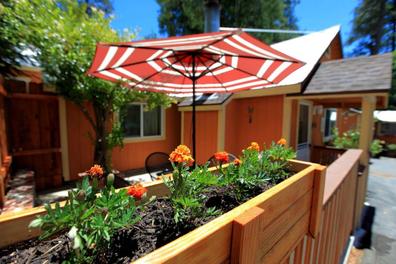 Mint Fawn Cabin - Pet-Friendly at Sleepy Hollow Cabins and Hotel