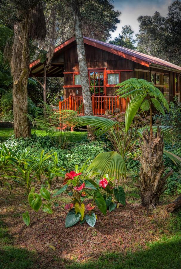| Crater Rim Cabin
