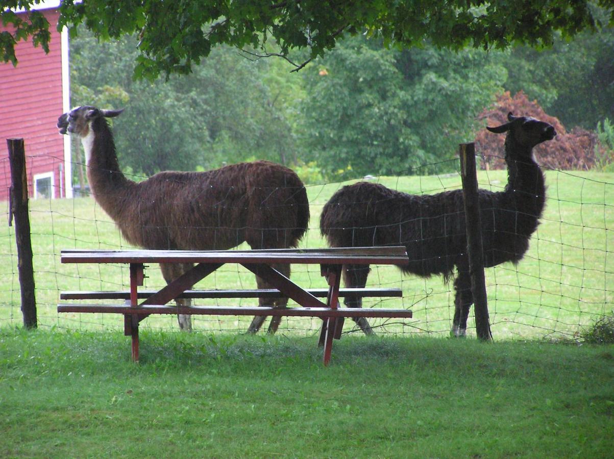  | Maple Hill Farm Inn