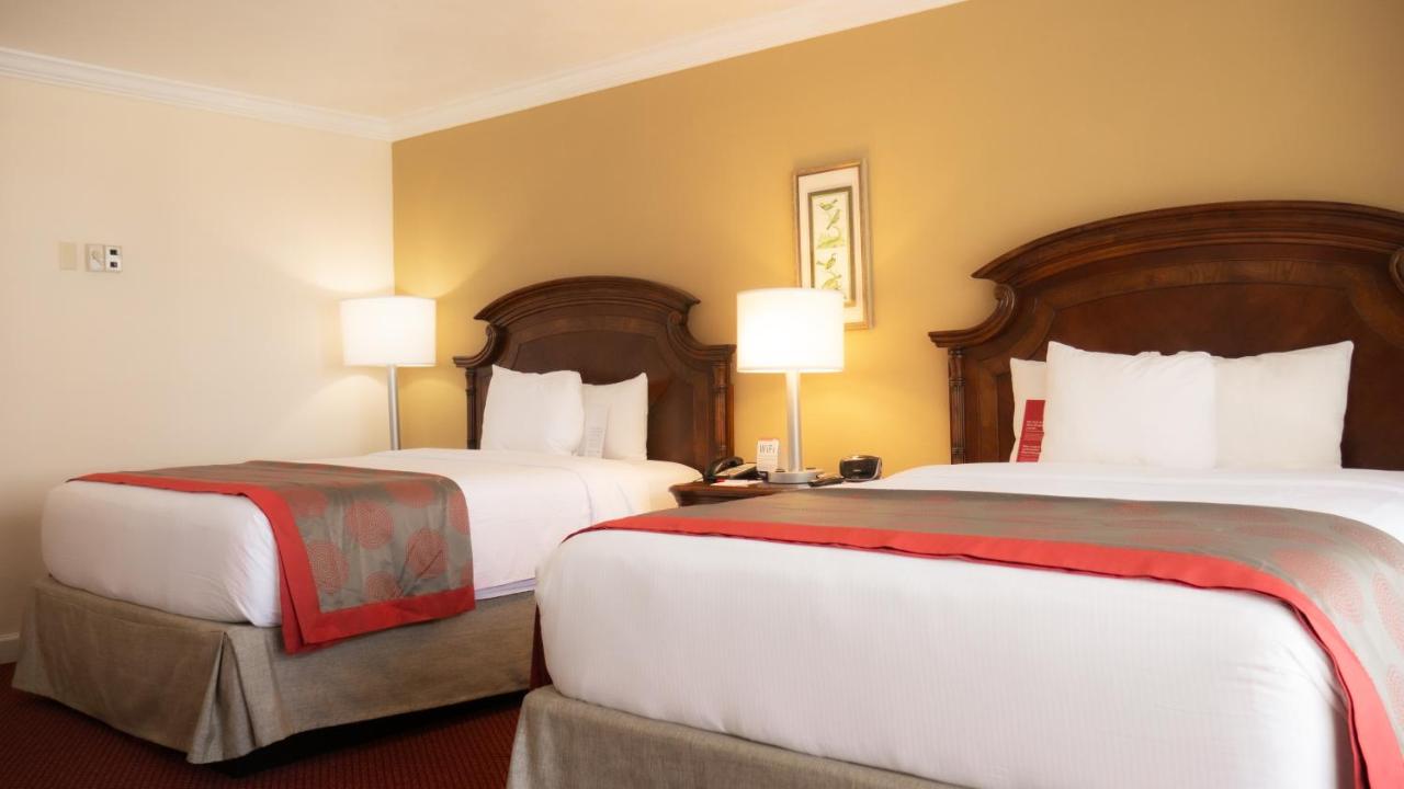 2 Queen Beds, Deluxe Room, Partial View, Kitchenette, Non-Smoking at Ramada Plaza by Wyndham Marco Polo Beach Resort