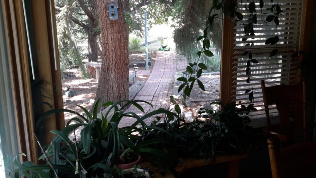 | Creek Side Bed and Breakfast