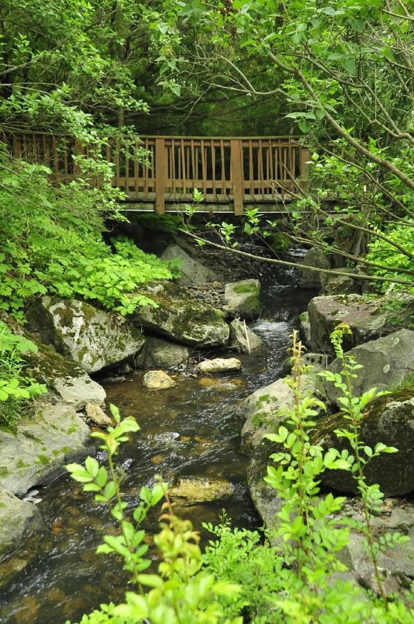  | Stay Berkshires - A Country Inn