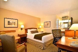 Room #38379917 at Best Western Pioneer