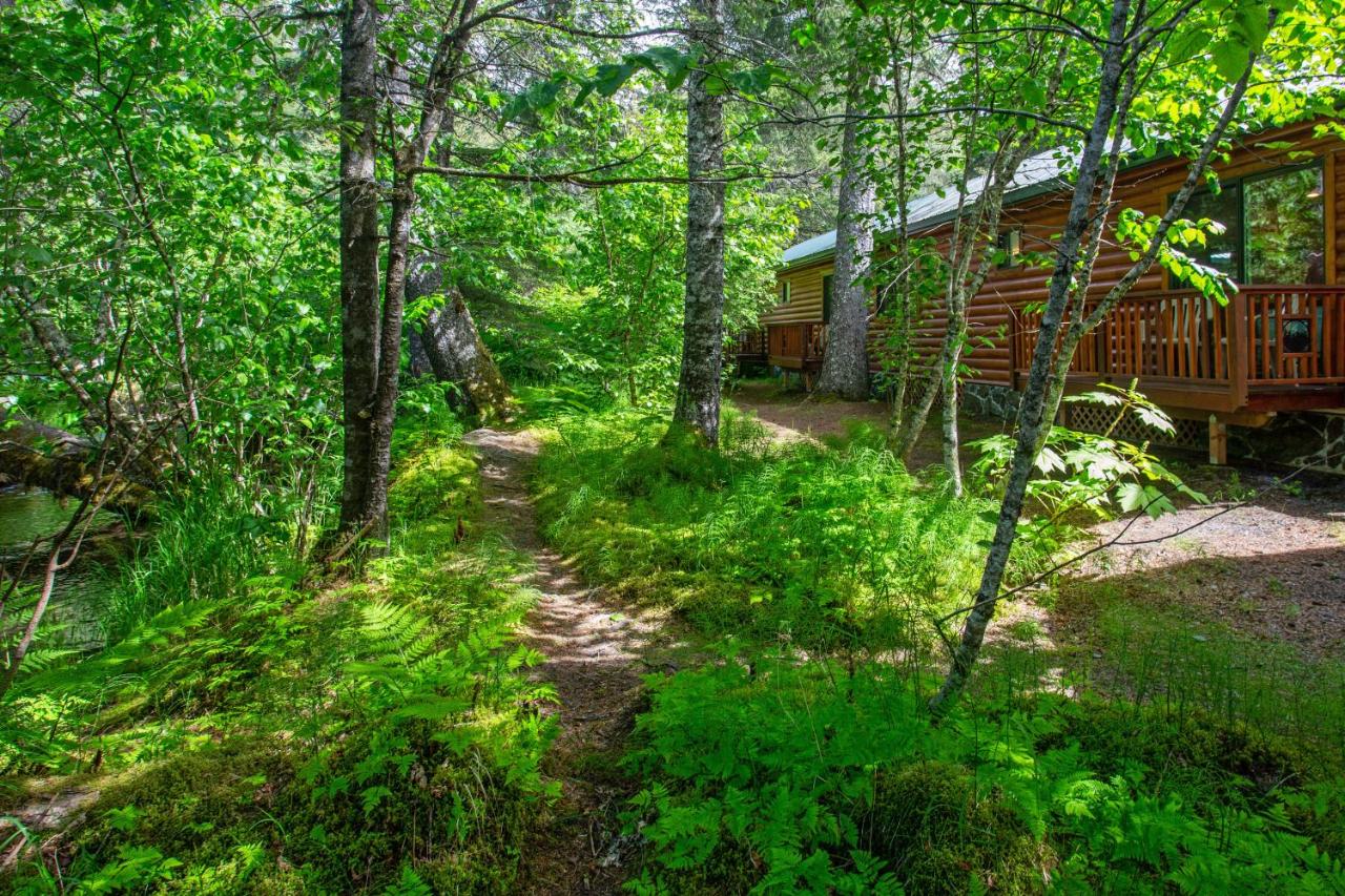 | Steller Inn
