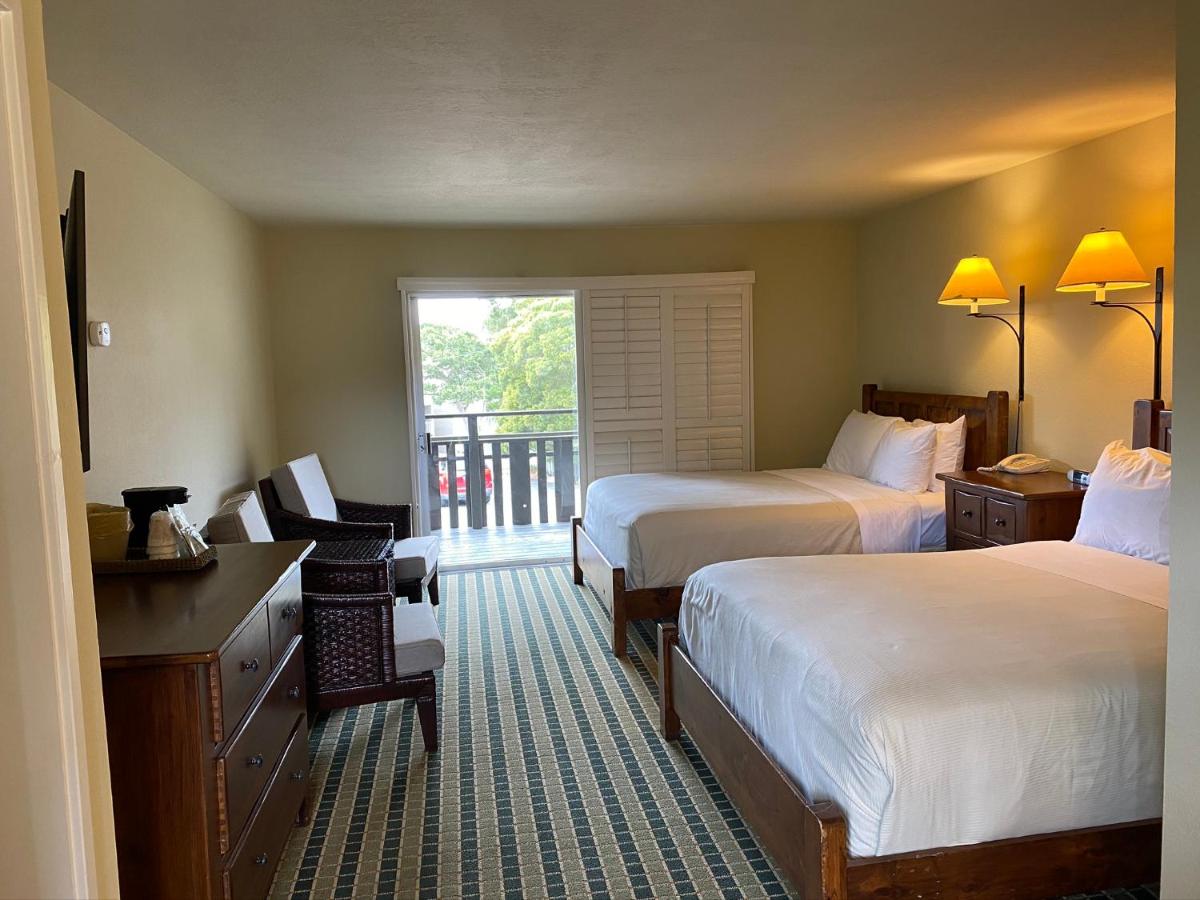 | The Olympia Lodge