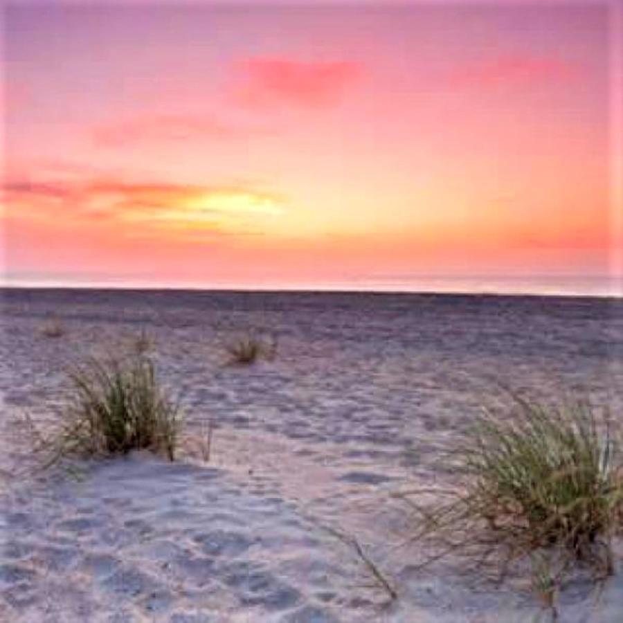 | Village by the Gulf