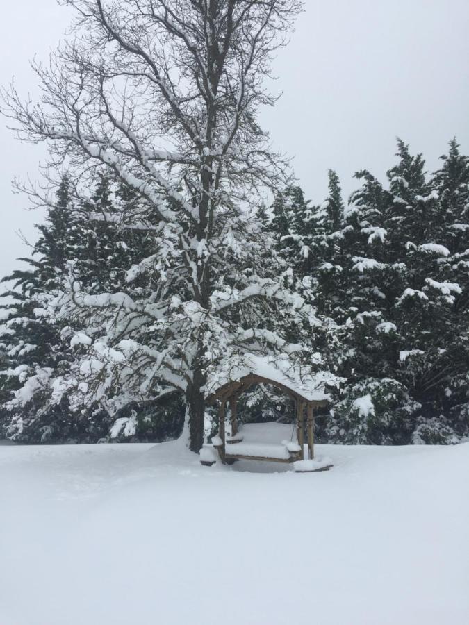 | Mount Shasta Ranch Bed and Breakfast