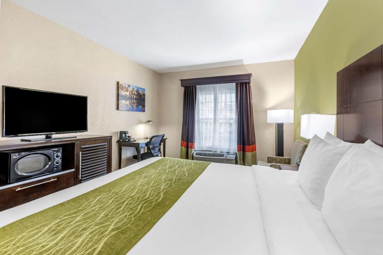 Standard Room, 1 King Bed, Accessible Roll-In Shower, Non Smoking at Comfort Inn San Diego Old Town