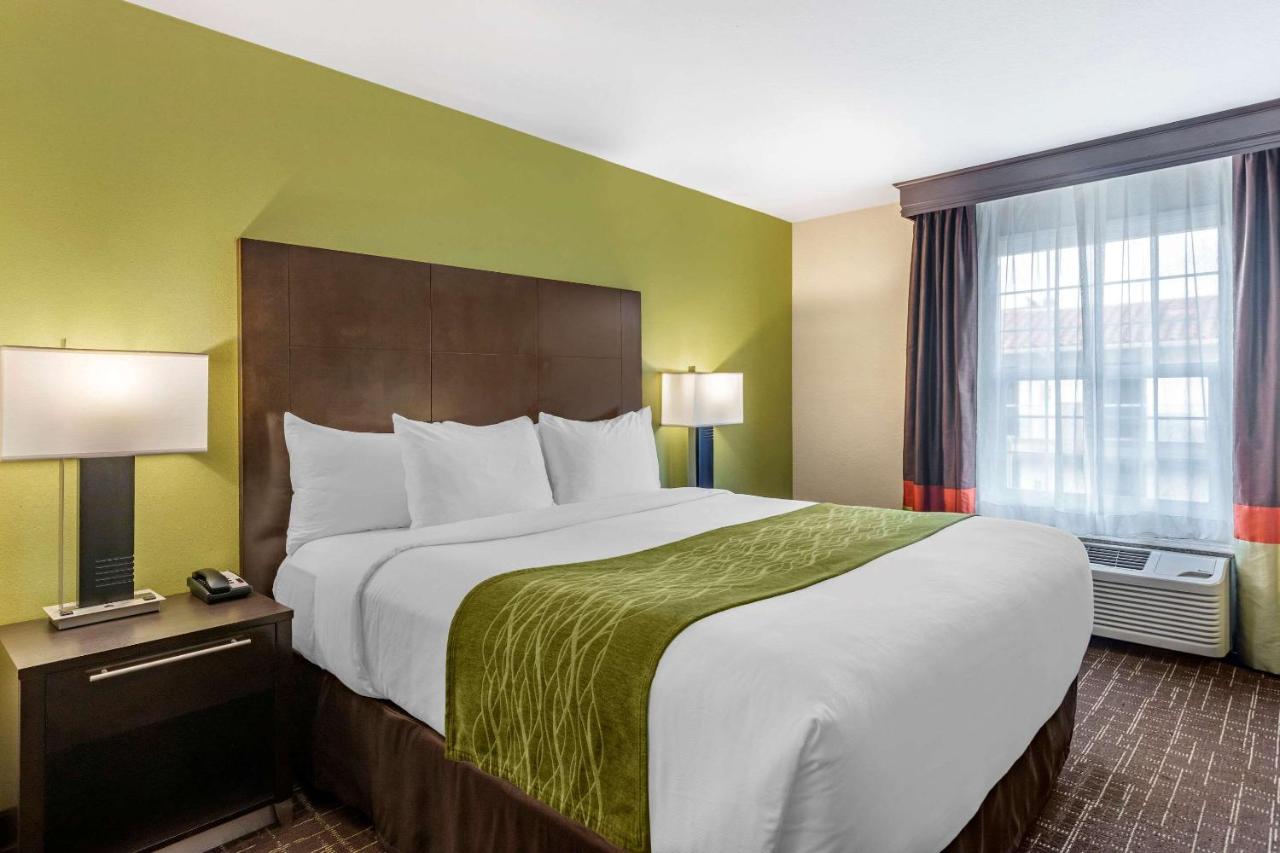Deluxe Room, 1 King Bed with Sofa Bed, Non Smoking at Comfort Inn San Diego Old Town