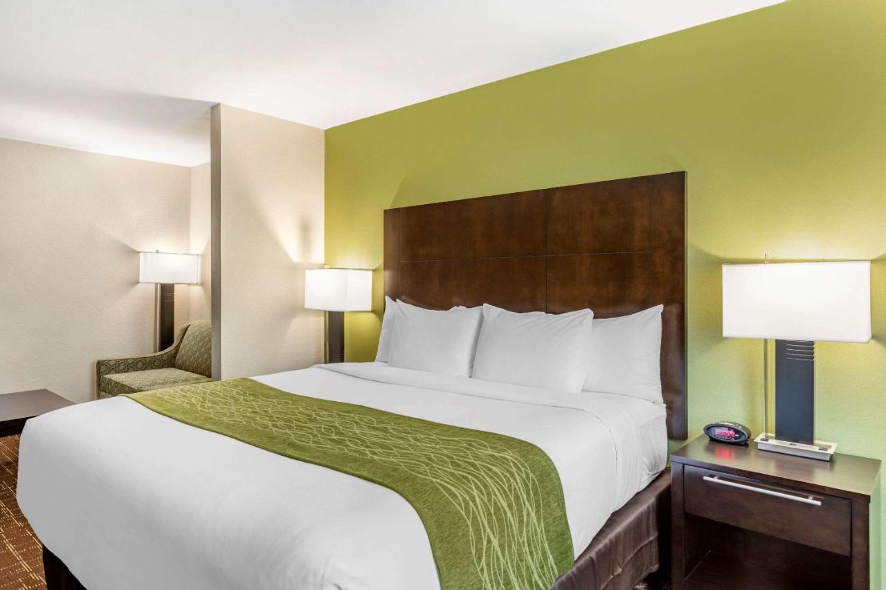 Deluxe Room, 1 King Bed with Sofa Bed, Non Smoking at Comfort Inn San Diego Old Town