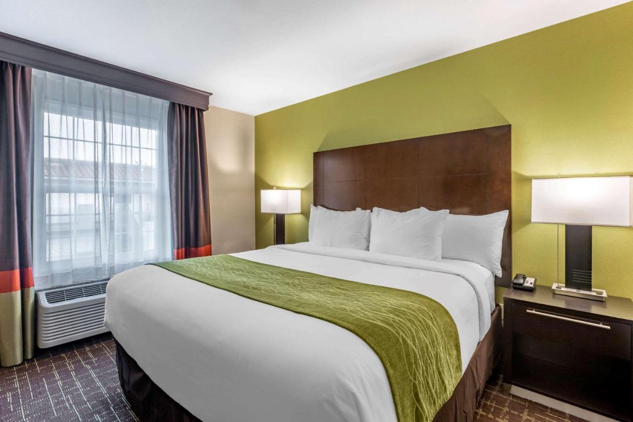 Suite, 1 King Bed with Sofa Bed, Non Smoking at Comfort Inn San Diego Old Town