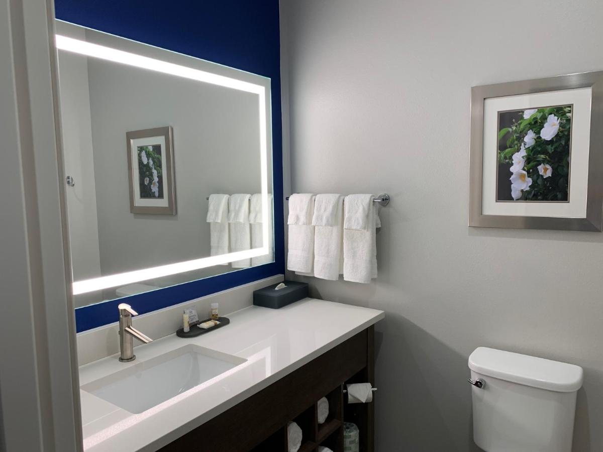 King Suite - Mobility and Hearing Impaired Access/Non-Smoking at La Quinta Inn & Suites by Wyndham Tifton