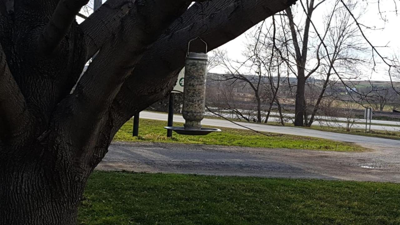  | Denison Inn & Suites